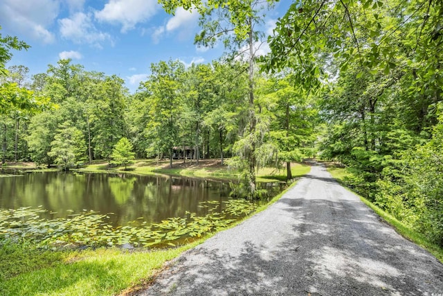3231 Center Rd, Georgetown, SC 29440 - view of dirt / gravel road featuring a forest view and a water view