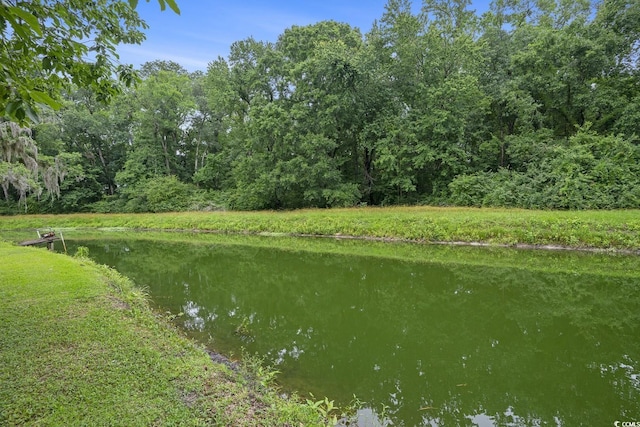 1731 Lee Ln, Longs, SC 29568 - water view featuring a heavily wooded area