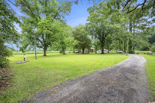 1731 Lee Ln, Longs, SC 29568 - surrounding community with a lawn