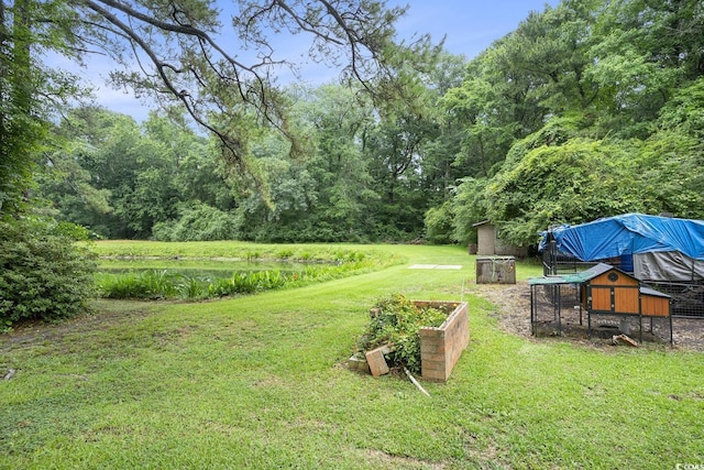 1731 Lee Ln, Longs, SC 29568 - view of grassy yard with exterior structure and an outbuilding