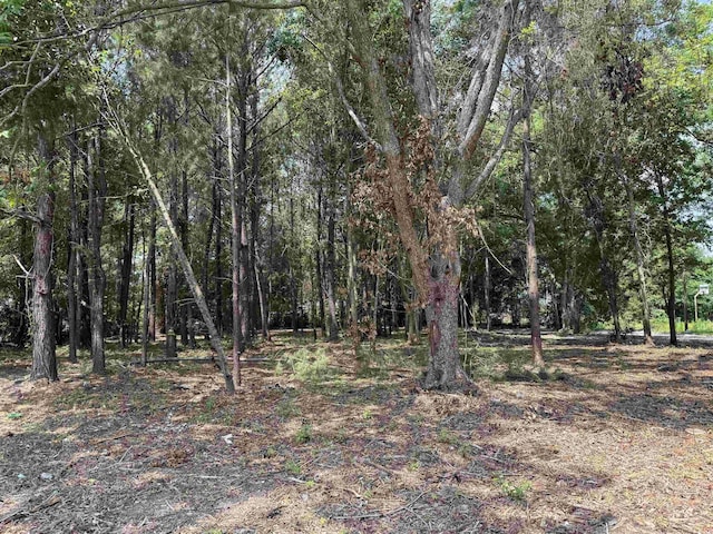 TBD S Rosemary Ave, Andrews, SC 29510