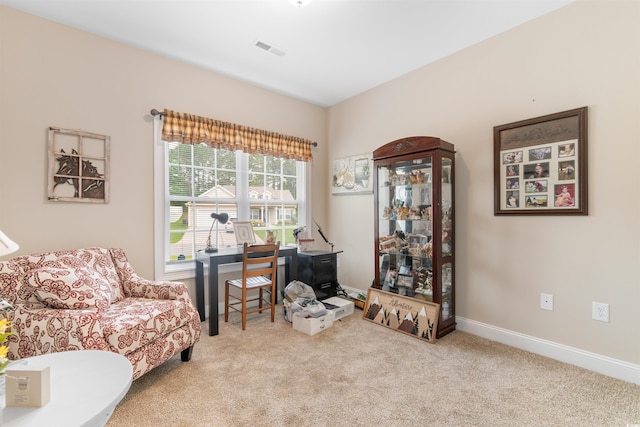 177 Baylee Cir, Galivants Ferry, SC 29544 - sitting room featuring carpet floors and a desk