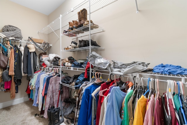 177 Baylee Cir, Galivants Ferry, SC 29544 - walk in closet with carpet