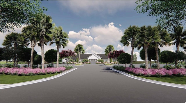 5034 Selene Ct, Myrtle Beach, SC 29588 - view of asphalt road featuring curbs