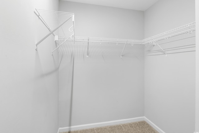 3547 Ladybank Loop, Myrtle Beach, SC 29577 - spacious closet featuring carpet flooring