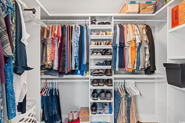 620 Seth Ln, Longs, SC 29568 - view of walk in closet