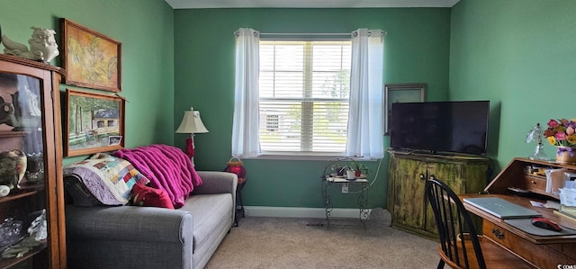 784 Flowering Branch Ave, Little River, SC 29566 - carpeted office with healthy amount of natural light