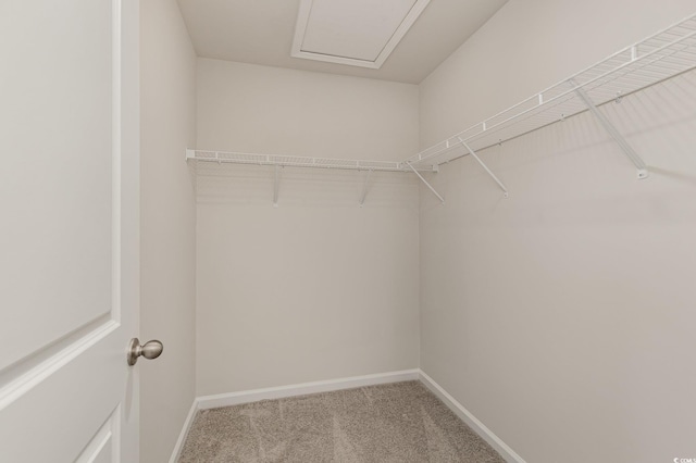 1710 Whispering Pine St, Ocean Isle Beach, NC 28469 - walk in closet with carpet flooring