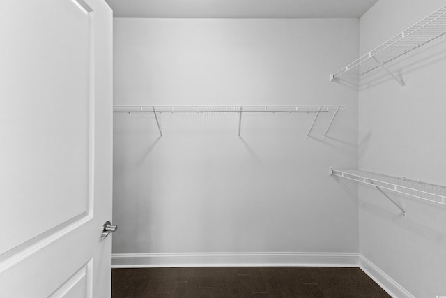 4555 Weekly Dr, Myrtle Beach, SC 29579 - view of spacious closet