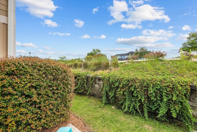2504 Heritage Loop Unit 2504, Myrtle Beach, SC 29577 - view of yard