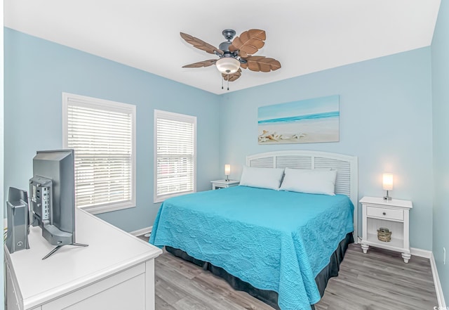 6001-8005 S Kings Hwy, Myrtle Beach, SC 29575 - photo 9