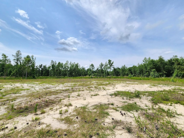 5375 Long Branch Swamp Rd, Nichols, SC 29581 - photo 1
