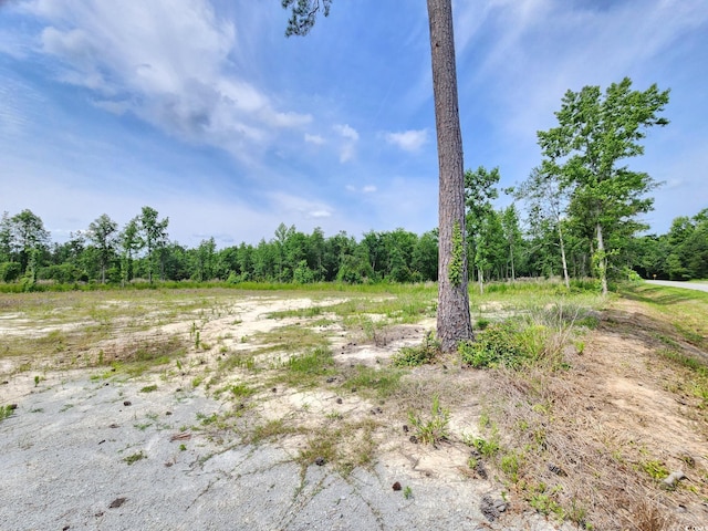 5375 Long Branch Swamp Rd, Nichols, SC 29581 - photo 2