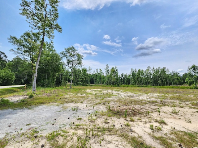 5375 Long Branch Swamp Rd, Nichols, SC 29581 - photo 3