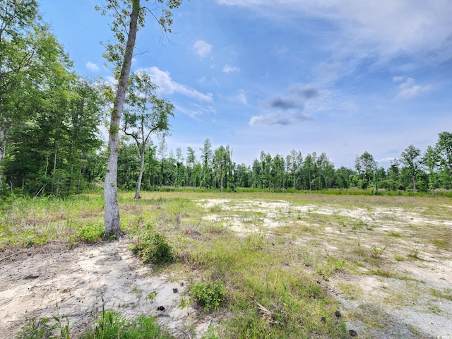 5375 Long Branch Swamp Rd, Nichols, SC 29581 - photo 4