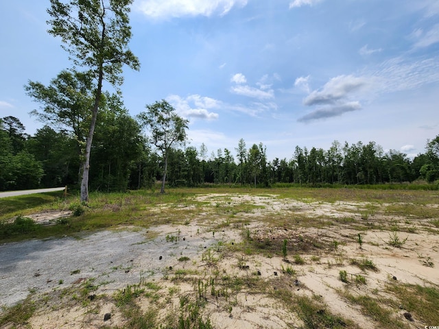 5375 Long Branch Swamp Rd, Nichols, SC 29581 - photo 5