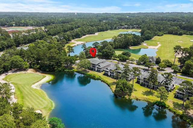 117 Pinehurst Ln Unit 5-J, Pawleys Island, SC 29585 - bird's eye view of a local golf course, a forest, and a nearby body of water