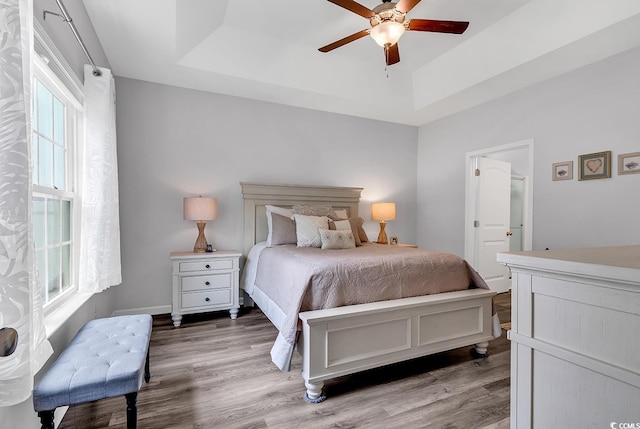 832 Windsor Rose Dr, Conway, SC 29526 - bedroom with a tray ceiling, wood finished floors, and a ceiling fan