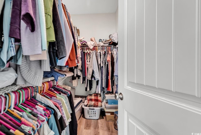 832 Windsor Rose Dr, Conway, SC 29526 - walk in closet featuring wood finished floors