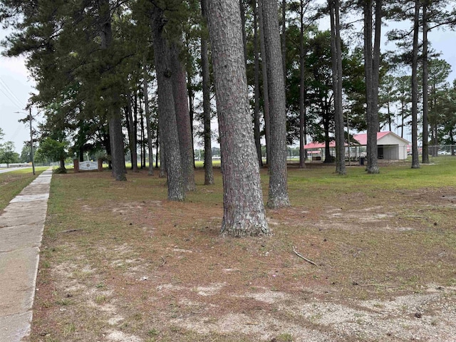 TBD Green St, Marion, SC 29571