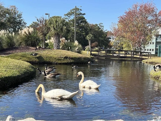 5905 S Kings Hwy Unit 206A, Myrtle Beach, SC 29575 - view of dock area