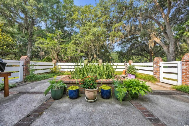 1259 Oatland Lake Rd, Pawleys Island, SC 29585 - view of patio / terrace with view of scattered trees