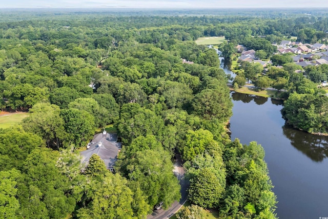 1259 Oatland Lake Rd, Pawleys Island, SC 29585 - aerial view of property's location featuring a forest and a nearby body of water