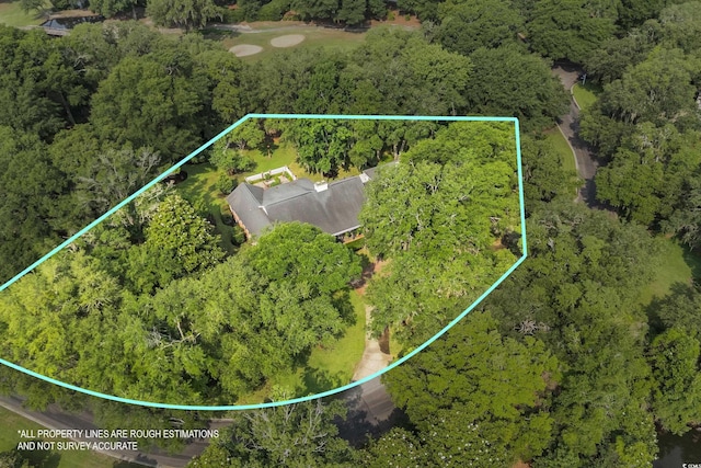 1259 Oatland Lake Rd, Pawleys Island, SC 29585 - aerial view of property's location with property parcel outlined and a heavily wooded area