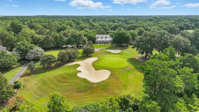 1259 Oatland Lake Rd, Pawleys Island, SC 29585 - aerial view of a forest and a golf course