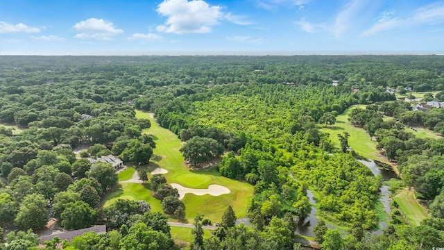 1259 Oatland Lake Rd, Pawleys Island, SC 29585 - bird's eye view of a golf club and a forest