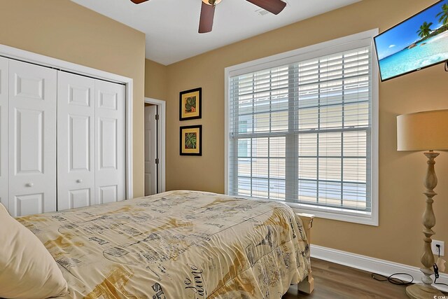 305 Shuffleboard Ct, Myrtle Beach, SC 29572 - photo 23