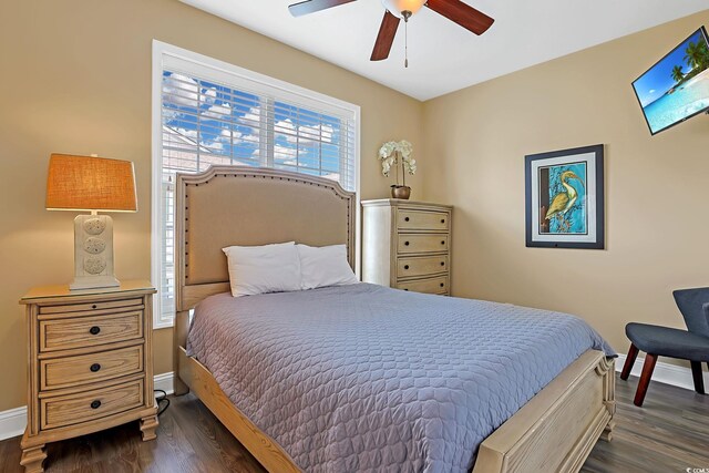 305 Shuffleboard Ct, Myrtle Beach, SC 29572 - photo 29