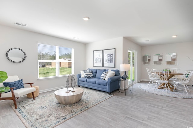 169 Dagger Ct, Myrtle Beach, SC 29588 - living room with light wood-style flooring and baseboards