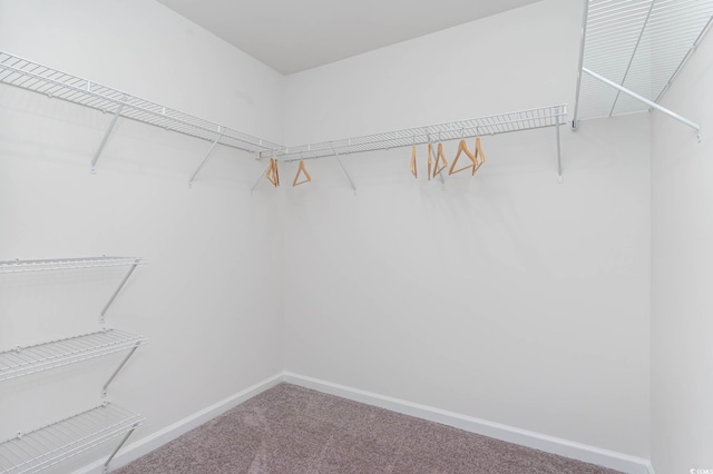 169 Dagger Ct, Myrtle Beach, SC 29588 - spacious closet with carpet flooring