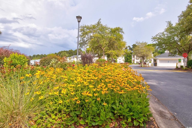1208 River Oaks Dr Unit 24-B, Myrtle Beach, SC 29579 - photo 28