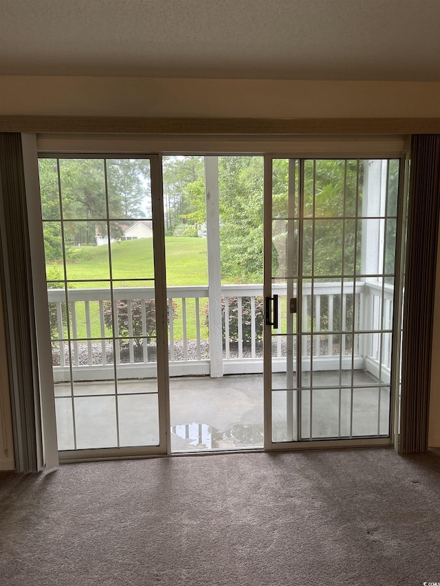 770 Charter Dr Unit C4, Longs, SC 29568 - doorway to outside featuring carpet floors and plenty of natural light
