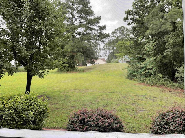 770 Charter Dr Unit C4, Longs, SC 29568 - view of green lawn