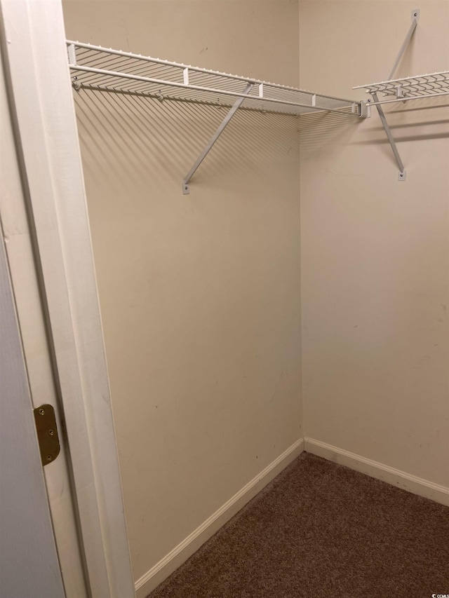 770 Charter Dr Unit C4, Longs, SC 29568 - spacious closet featuring carpet flooring