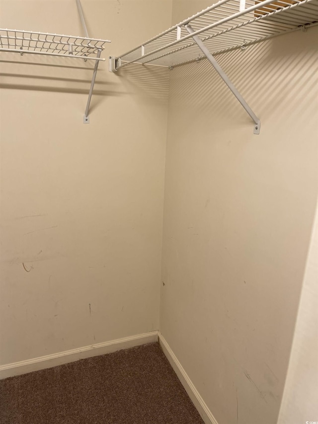 770 Charter Dr Unit C4, Longs, SC 29568 - spacious closet featuring dark carpet