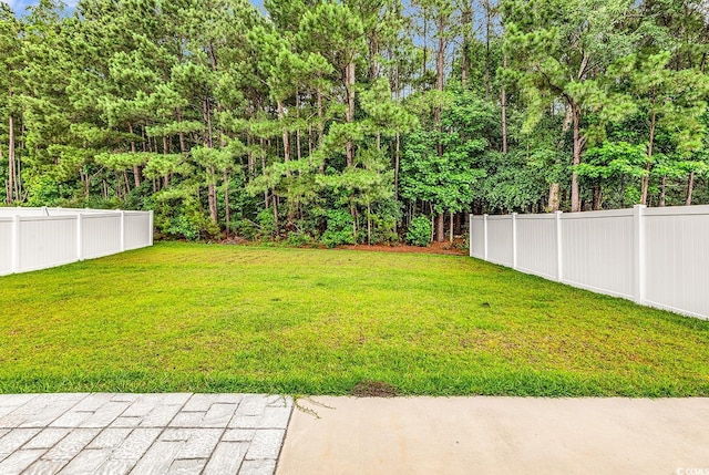218 Calhoun Falls Dr, Myrtle Beach, SC 29579 - view of yard