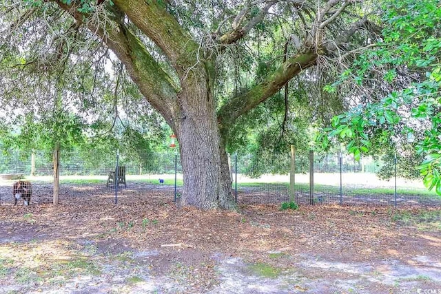 3150 Dusty Rd, Loris, SC 29569 - view of yard