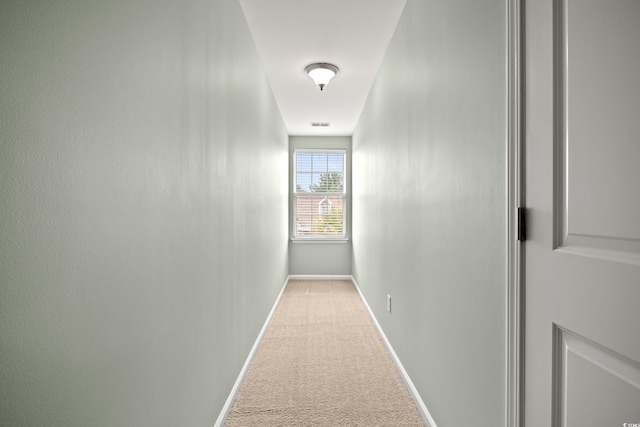 121 Parmelee Dr Unit D, Murrells Inlet, SC 29576 - corridor featuring carpet floors and baseboards