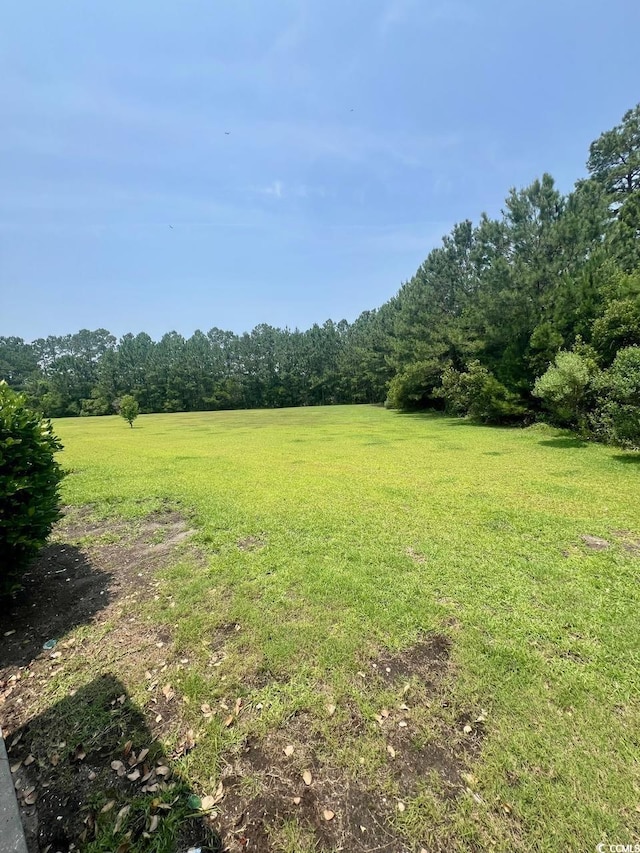 1048 Fairway Ln Unit 1048, Conway, SC 29526 - view of green lawn with a forest view