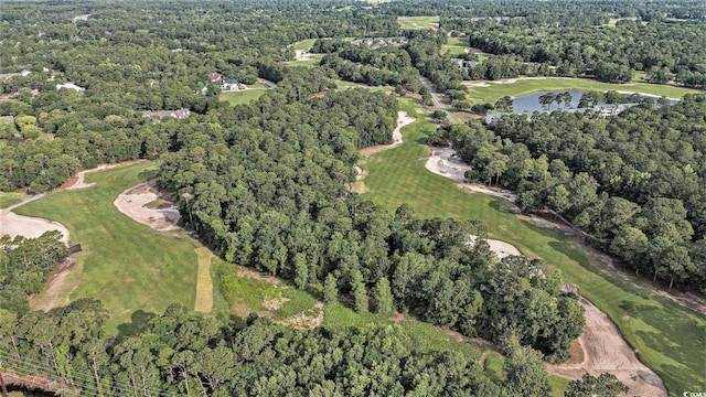 157 Egret Run Ln Unit 523, Pawleys Island, SC 29585 - view of property location with a golf club and a large body of water