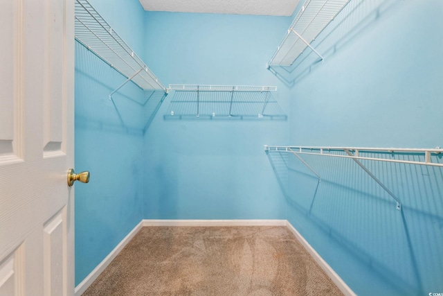 2384 Covington Dr, Myrtle Beach, SC 29579 - spacious closet featuring carpet floors