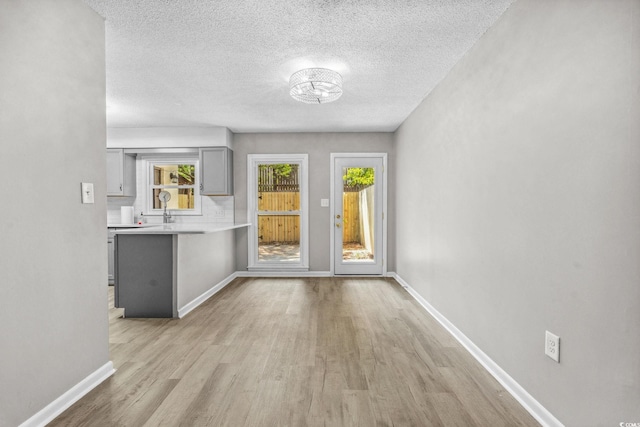 315 73rd Ave N Unit 2, Myrtle Beach, SC 29572 - unfurnished dining area featuring plenty of natural light, light wood-type flooring, and a textured ceiling