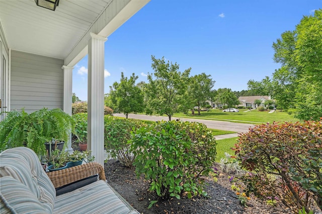 816 Barn Owl Ct Unit 816, Myrtle Beach, SC 29579 - photo 6