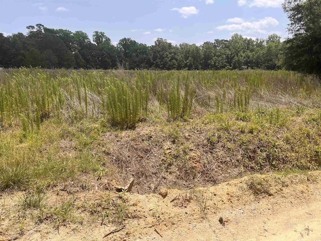 TBD Watts Rd, Loris, SC 29569 - photo 1