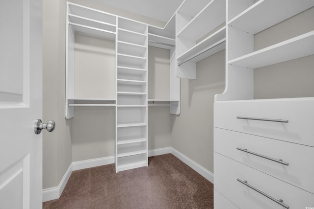 2080 Silver Island Way, Murrells Inlet, SC 29576 - walk in closet with dark colored carpet