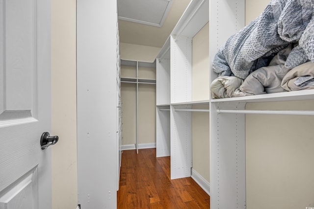 4232 Pointer Ct, Myrtle Beach, SC 29579 - walk in closet with wood finished floors